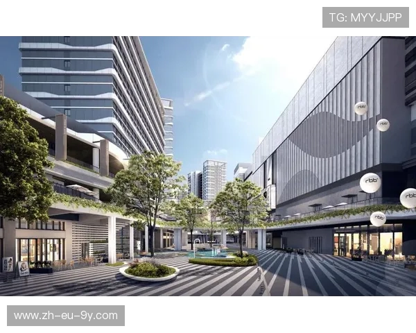 围绕临河足球公园锦鲤打造城市活力与社区交流体验式文化新地标区